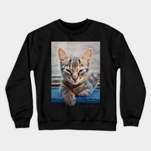 little sphinx Crewneck Sweatshirt